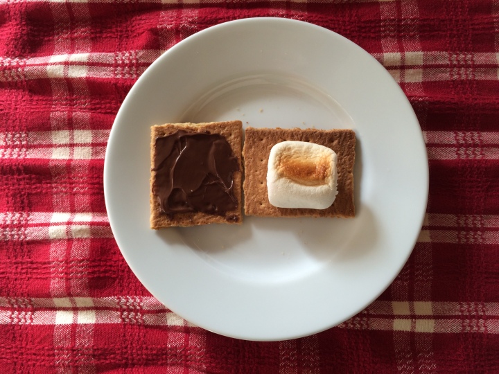 homemade-nutella-s'mores